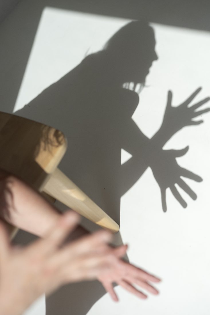 Esku itzalak / Teatro de sombras